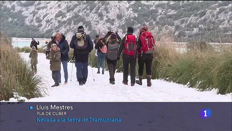 Nevada a la Serra de Tramuntana - 24/01/23 - Veure ara