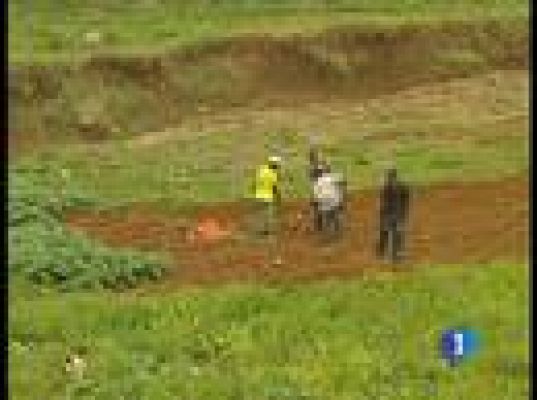  - Los haitianos huyen al campo