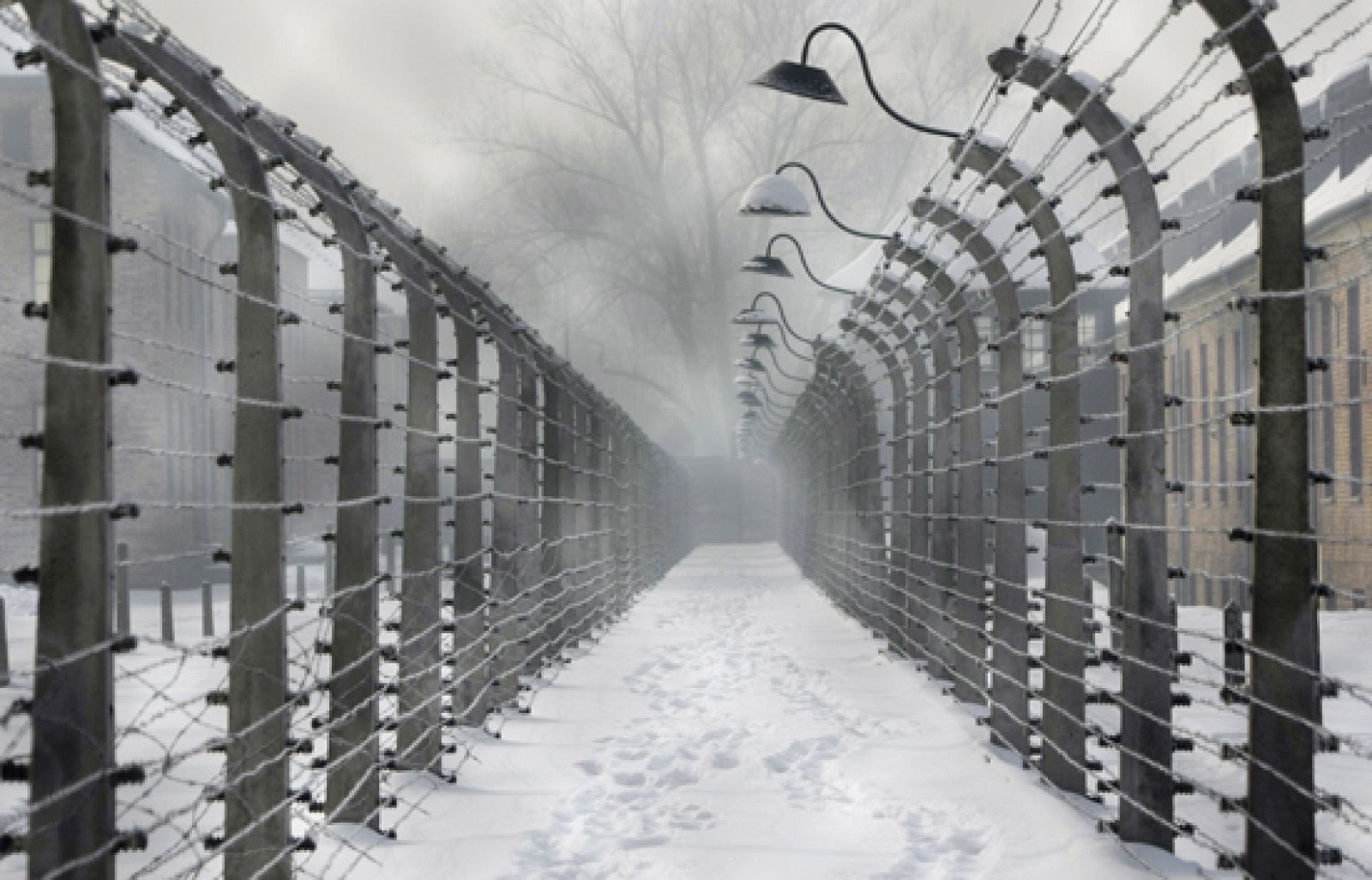 El mundo recuerda hoy uno de los mayores horrores de la historia: el holocausto. Liberado por el Ejército soviético el 27 de enero de 1945, se ha convertido en el mayor símbolo del genocidio nazi. Desde 2005 se commemora también el Día Internacional de las Víctimas del Holocausto. En ese campo murieron más de un millón de personas.