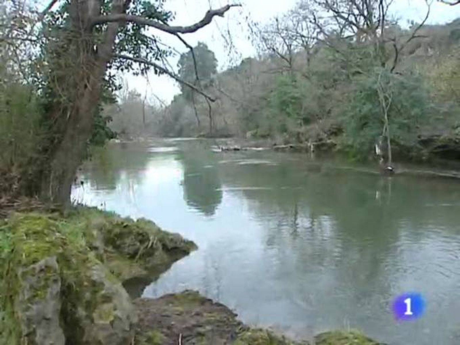 Telecantabria. (27/01/10)