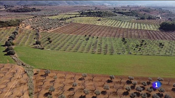 L'informatiu - Comunitat Valenciana - L'informatiu Comunitat Valenciana 2 - 25/01/2023