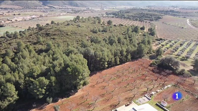 Una planta fotovoltaica de 500 hectrees a la Plana Alta genera el rebuig del venat