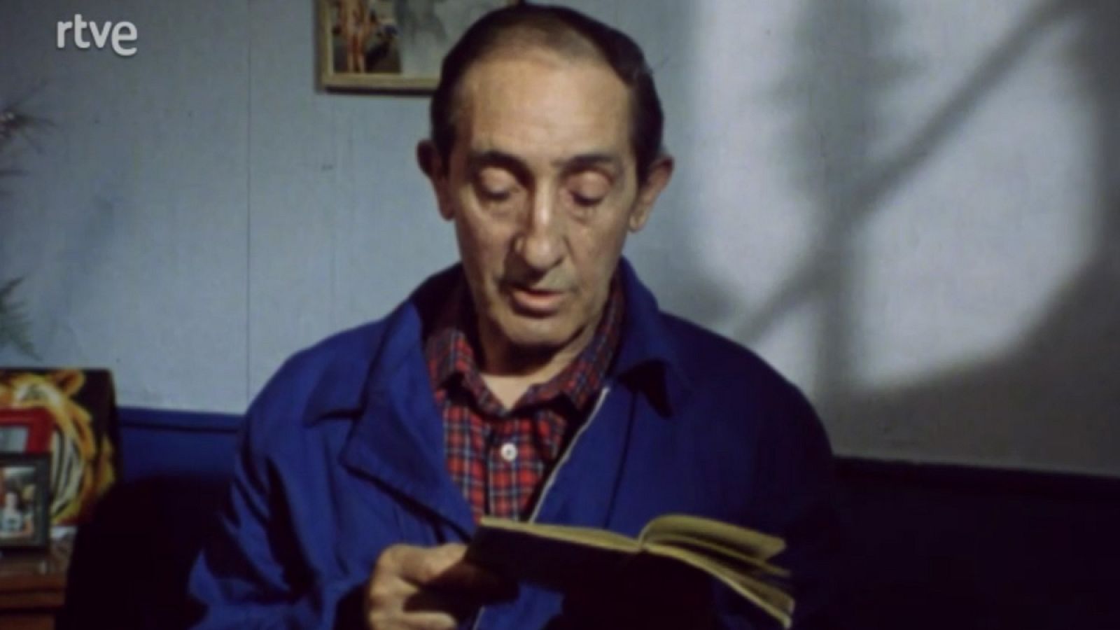 Escalera exterior, escalera interior - Aves migratorias - Escalera exterior, escalera interior | Ver