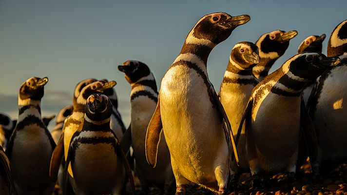 Patagonia: El fin del mundo