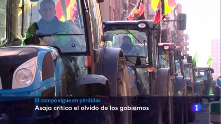 Informativo Telerioja - Informativo Telerioja  - 26/01/23