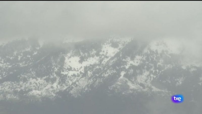 Panorama Regional 2 - 26/01/2023 - Ver ahora 