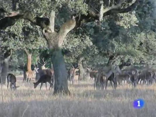 Noticias de Extremadura - Noticias de Extremadura - 27/01/10