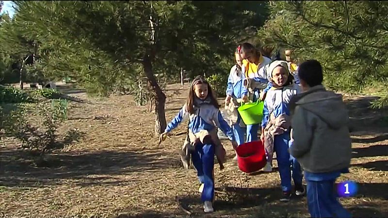 La importància de l'educació mediambiental en la infància