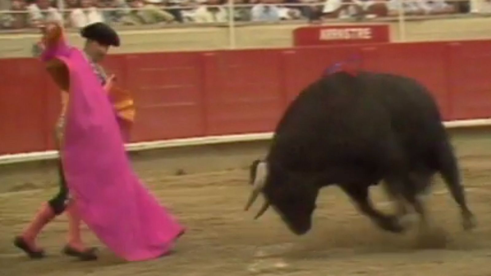 Únics - Joaquín Bernadó - Veure ara