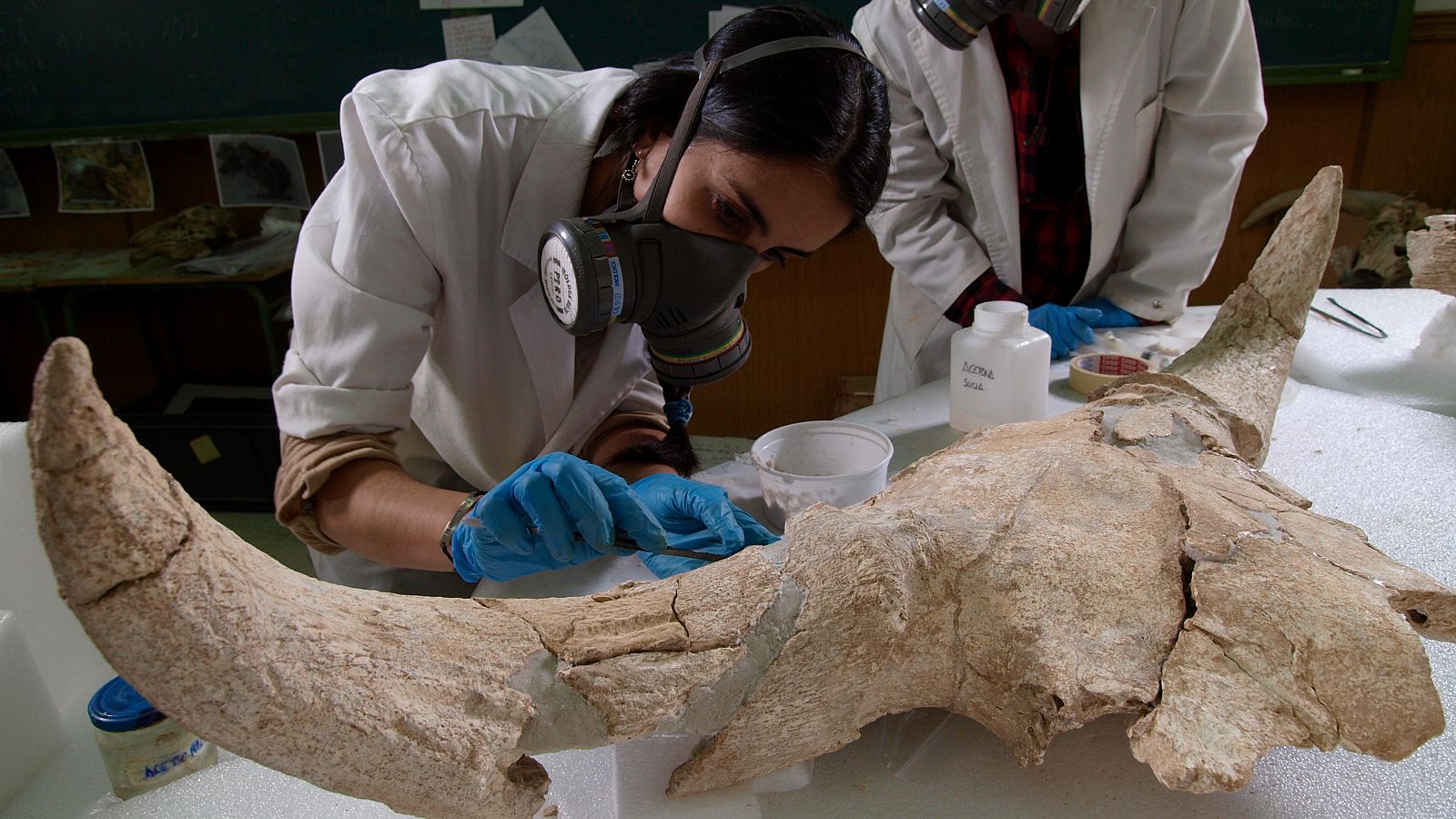 Los neandertales ya tenían capacidad simbólica, según un estudio | Ver