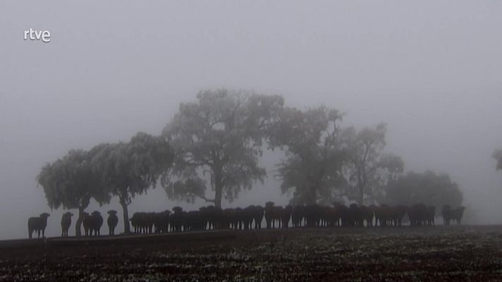 Tendido cero - Tendido cero - 28/01/23