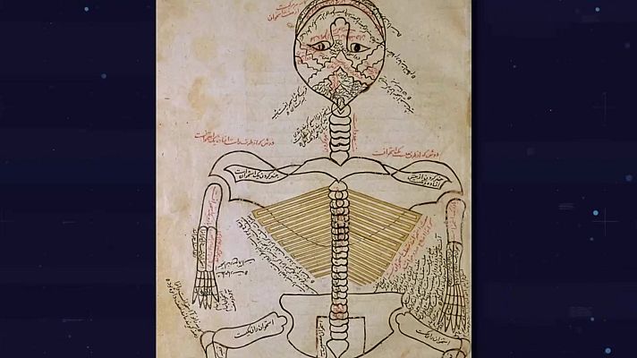Telediario Fin de Semana - Manual de Ilustración Científica: divulgar conocimiento con imágenes