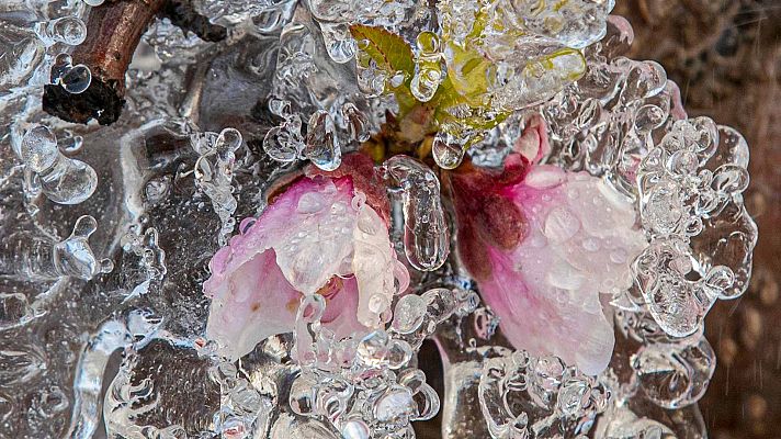 El tiempo - La última semana de enero arranca con subida temperaturas y heladas en el norte