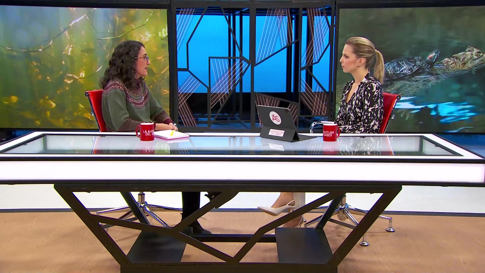 La aventura del saber - 30/01/23 - ver ahora