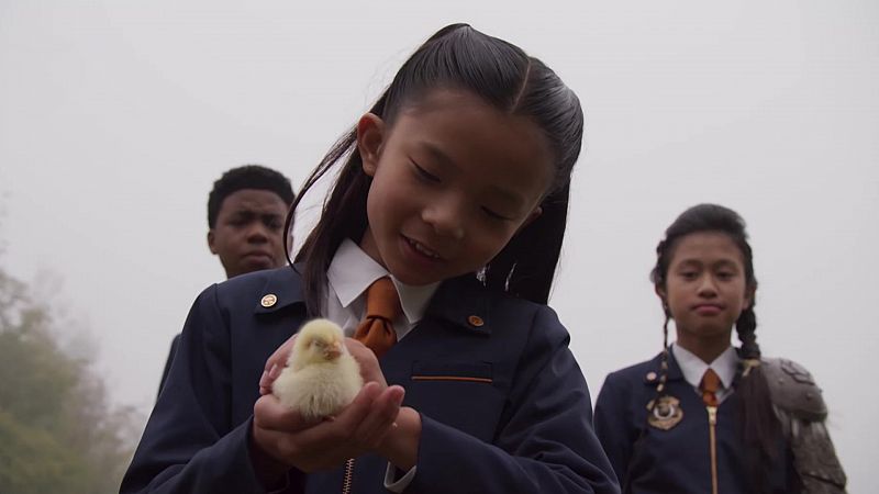 El pollito que vino de otra dimensión