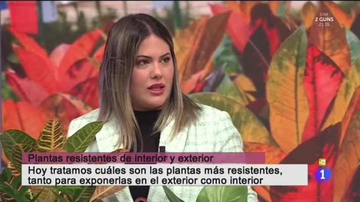 Cerca de ti - Cerca de ti - 30/01/2023