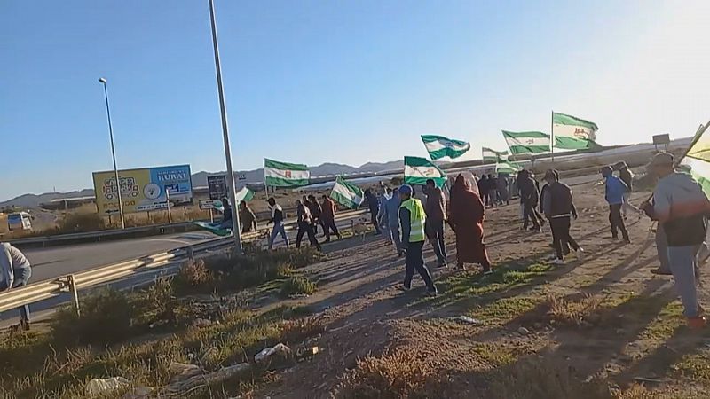 Desalojado El Walili en Níjar - Ver ahora