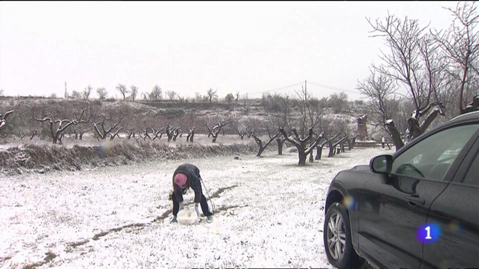 L'Informatiu Comunitat Valenciana 2 - 30/01/23 vore ara