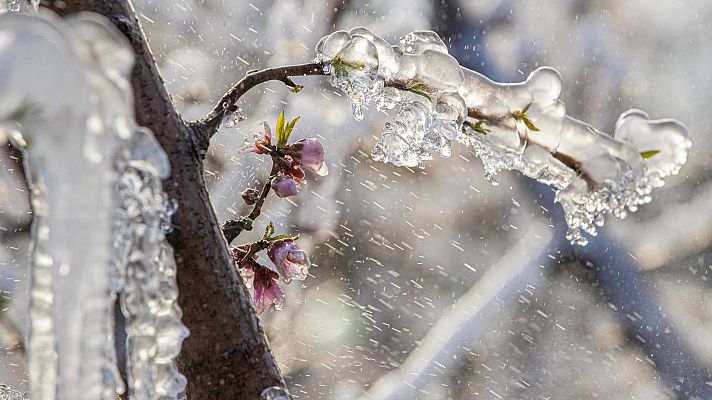 El tiempo - Heladas en buena parte del interior peninsular y Mallorca