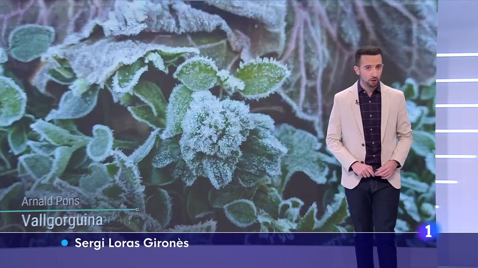 El Temps a Catalunya (31/01/2023) | RTVE Catalunya | Veure