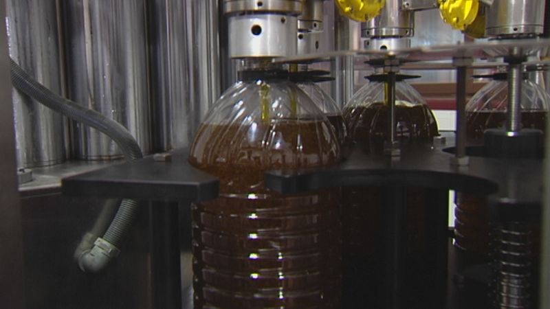 La peor cosecha de aceituna del siglo - Ver ahora