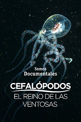 Somos Documentales - Cefalópodos, el reino de las ventosas