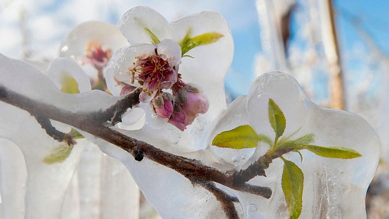 Febrero arranca con heladas en buena parte del interior peninsular y Baleares