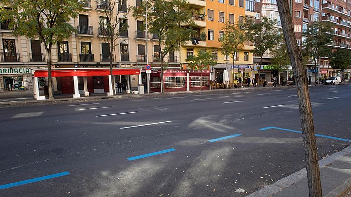 Hablando claro - ¿Tienen los árboles de las ciudades un impacto sobre la salud?