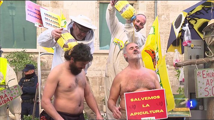 L'informatiu - Comunitat Valenciana - L'informatiu Comunitat Valenciana 1 - 02/02/23