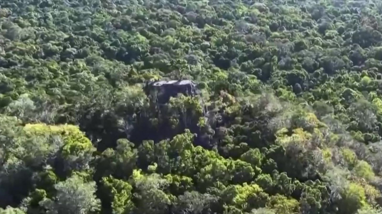 La selva escondía las primeras de autopistas de la Humanidad