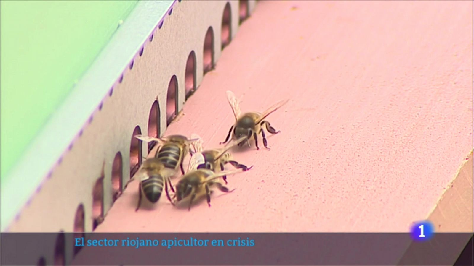 Informativo Telerioja  - 02/02/23 - Ver ahora