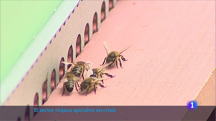 Informativo Telerioja - Informativo Telerioja  - 02/02/23