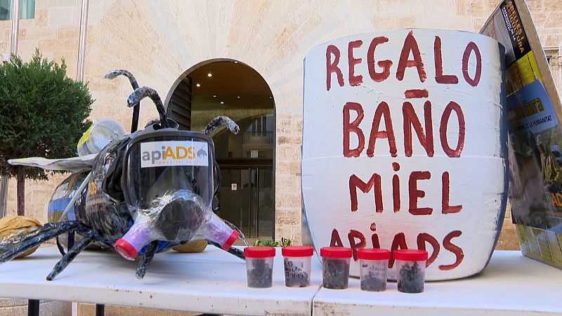 Crisis en la apicultura Valenciana