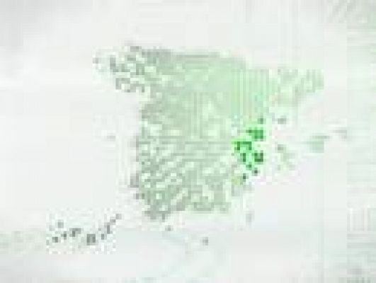 L'informatiu - Comunitat Valenciana - L'informatiu Comunitat Valenciana - 28/01/10