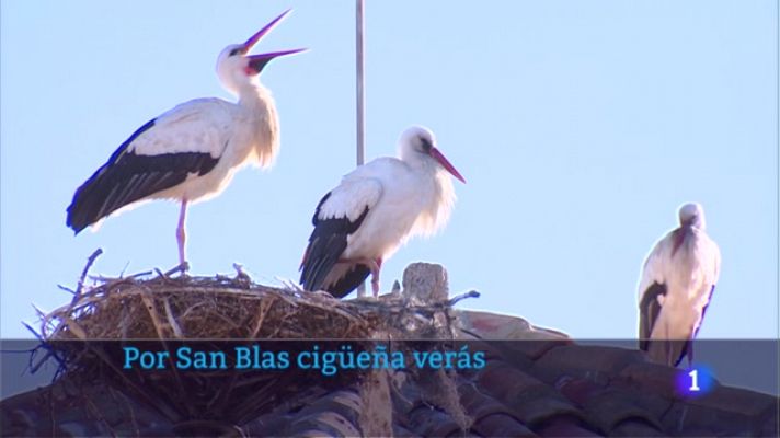 Informativo Telerioja - Informativo Telerioja  - 03/02/23