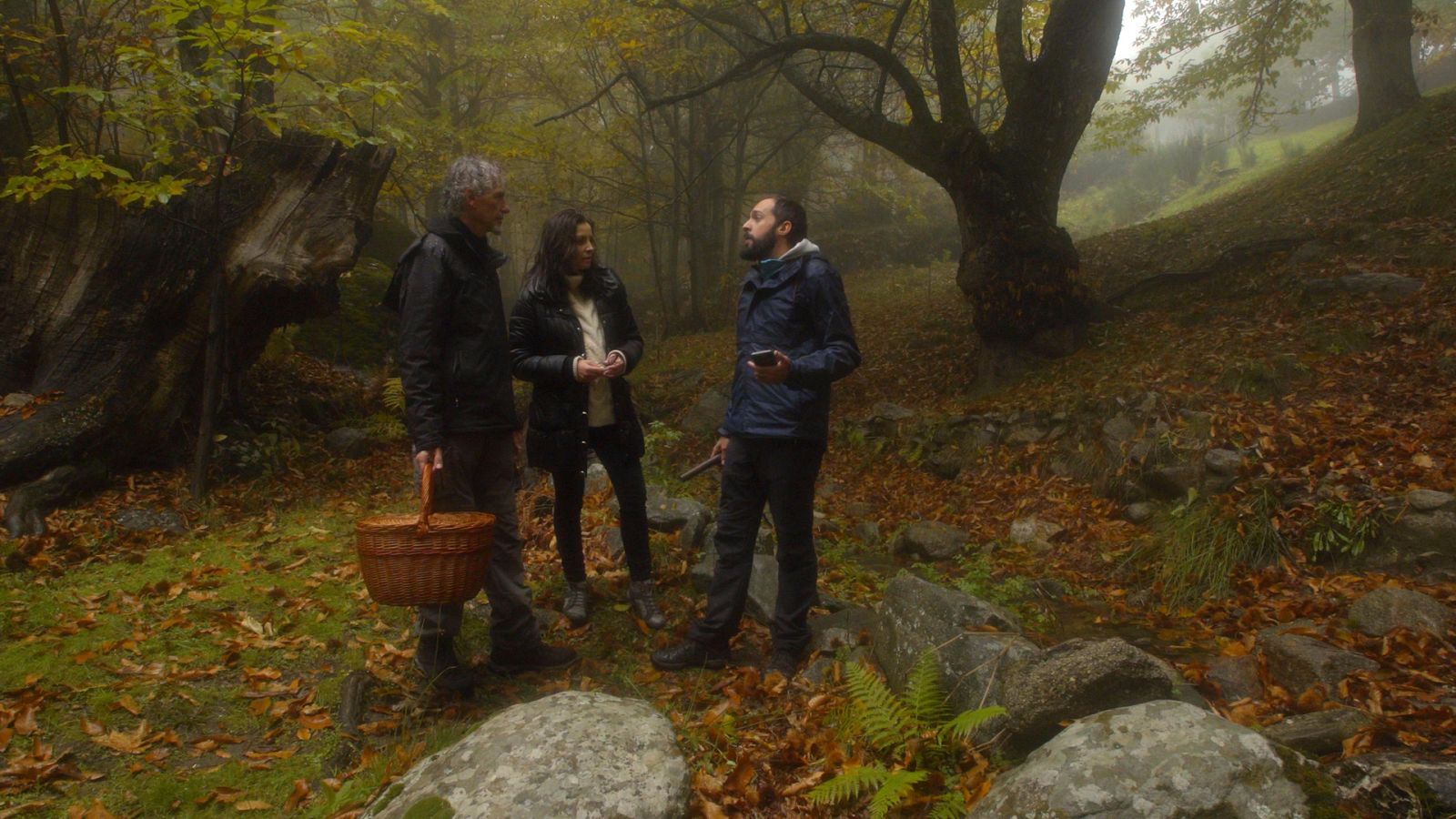 El señor de los bosques - Castañar de Casillas - Ver ahora