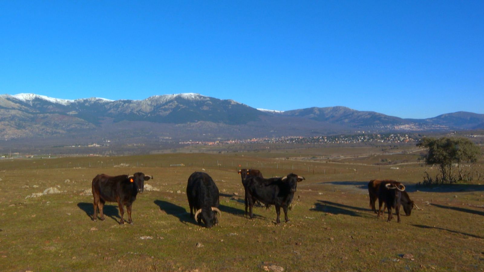 Tendido cero - 04/02/23 - ver ahora