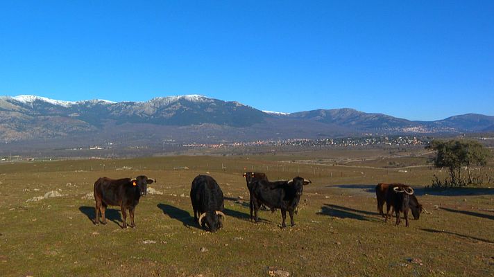 Tendido cero - Tendido cero - 04/02/23