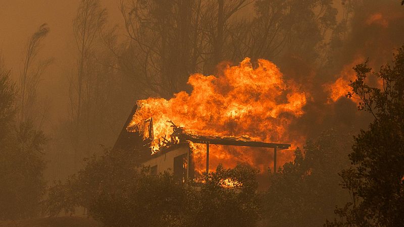 Los incendios forestales no dan tregua en Chile