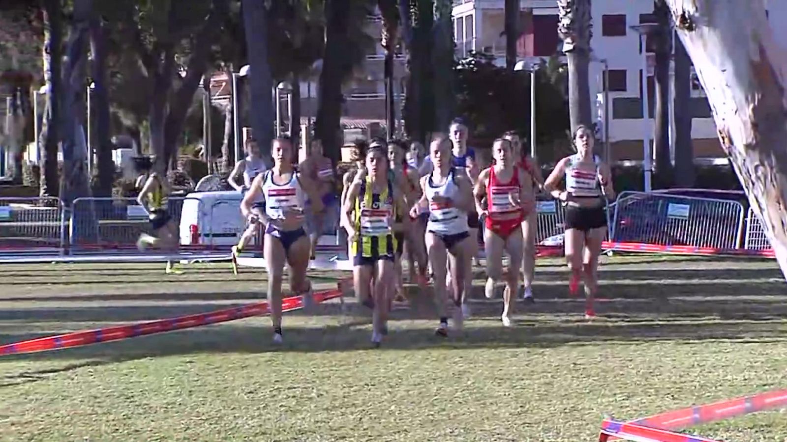 Cross - Copa de Europa de Clubes. Carrera Sub-20 Femenina - ver ahora