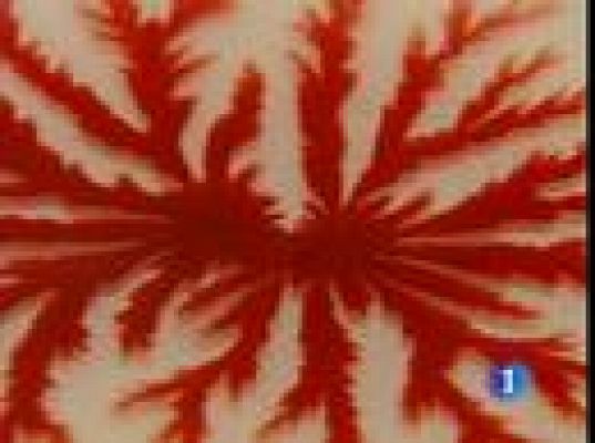  - Madrid Fusión cierra sus puertas