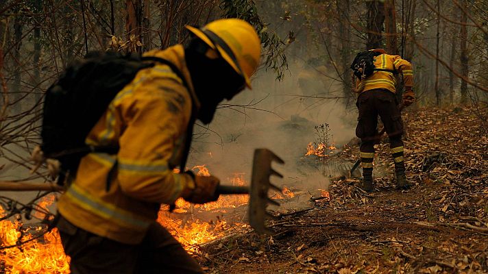 Telediario Fin de Semana - 6.000 brigadistas combaten más de 200 incendios en Chile