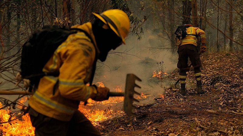 6.000 brigadistas combaten más de 200 incendios en Chile