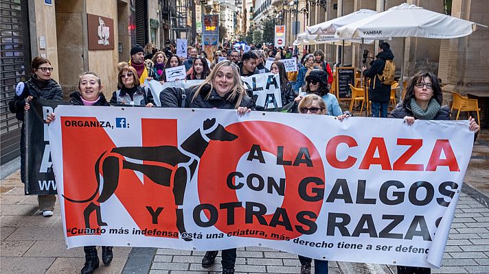 Telediario Fin de Semana - Manifestantes piden la inclusión de los perros de caza en la Ley de Bienestar Animal