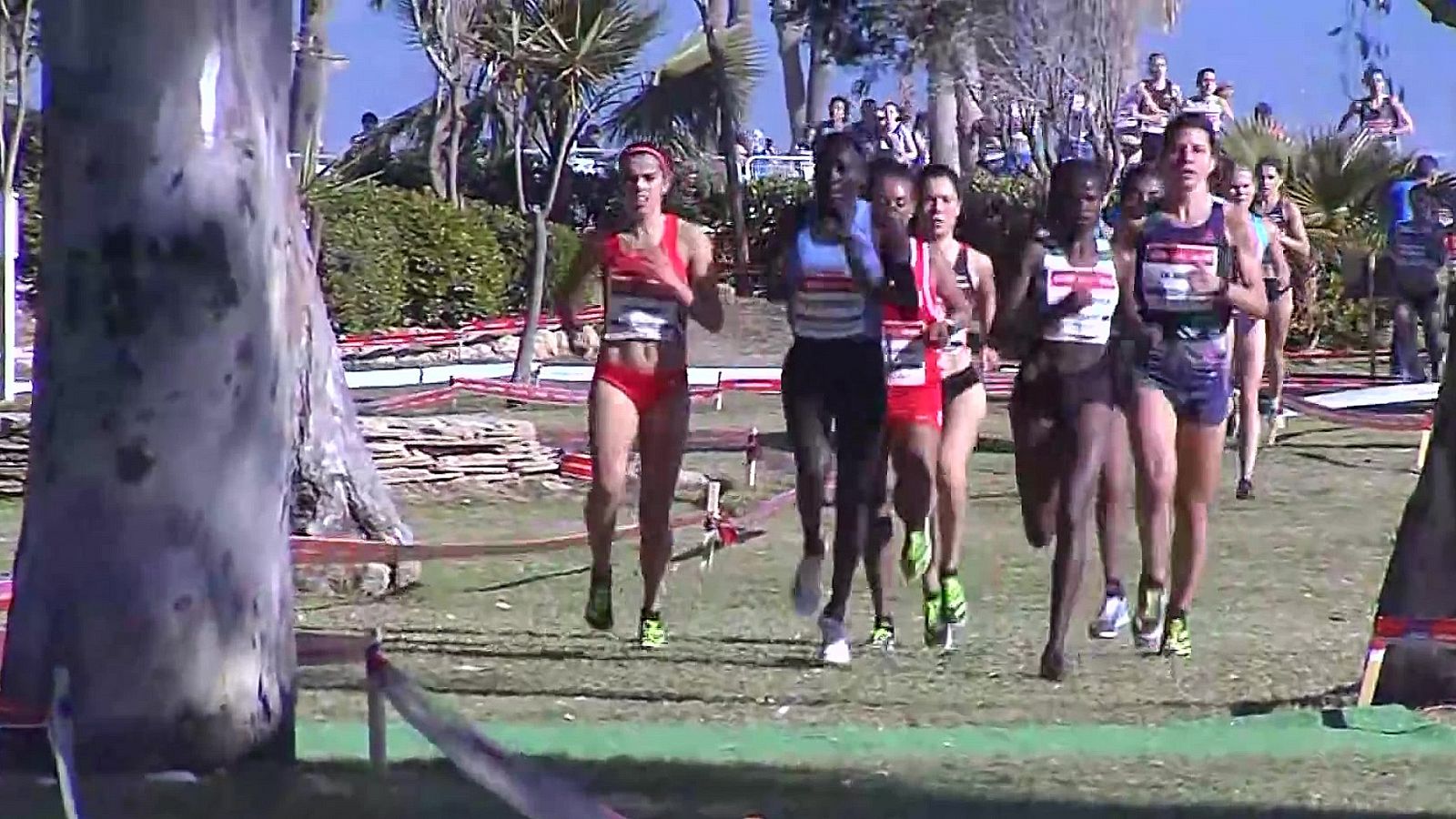 Cross - Copa de Europa de Clubes. Carrera Senior Femenina - ver ahora