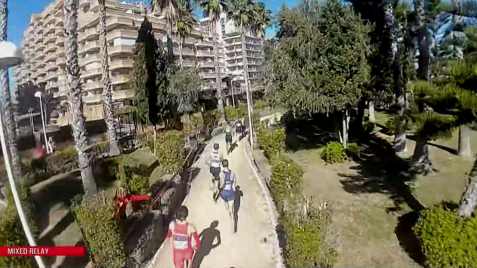 Cross - Copa de Europa de Clubes. Carrera Relevos Mixtos - ver ahora