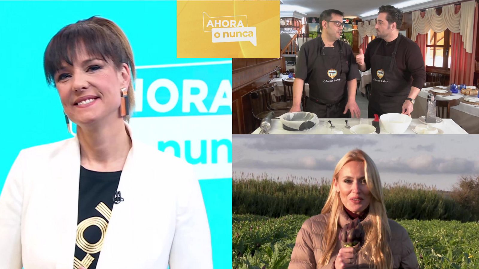 Ahora o nunca - Programa 11 - ver ahora