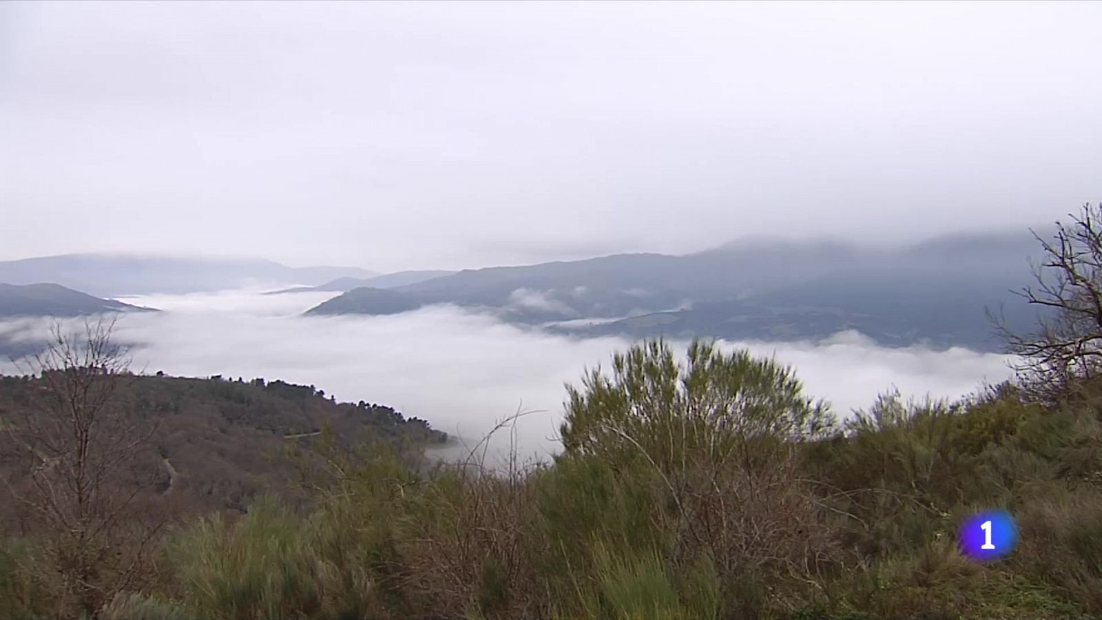 La gran favorita de los Goya, As Bestas, está basada en una historia real. Así que hemos viajado hasta la aldea de Santaolla, en Ourense, para hablar con Margo Pool, la mujer que inspiró a Rodrigo Sor | Ver