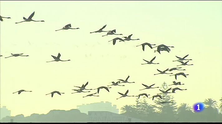 L'informatiu - Comunitat Valenciana - L'Informatiu de la Comunitat Valenciana 2 - 06/02/23