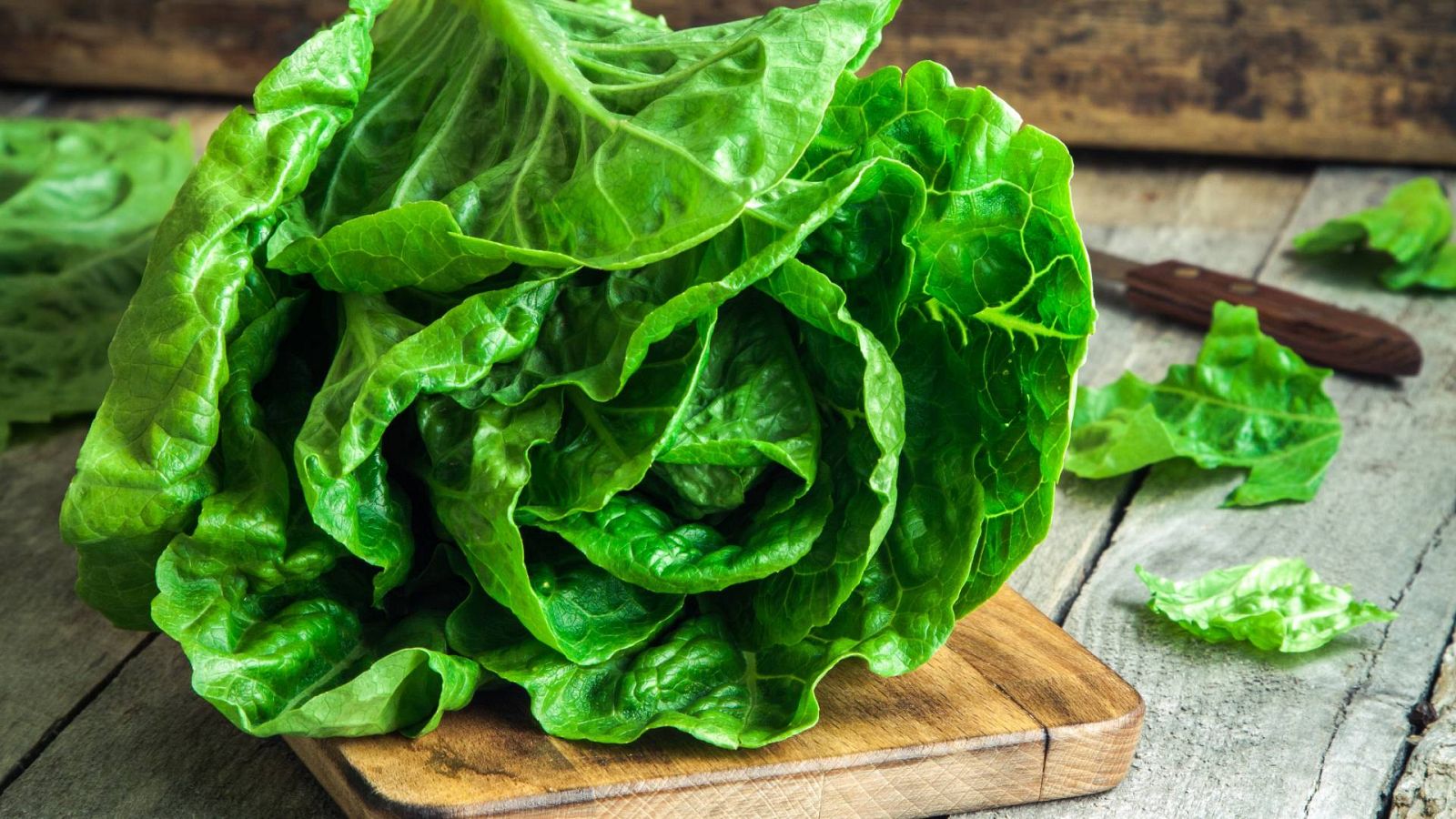 Mitos y beneficios de los tipos de lechuga | Ver
